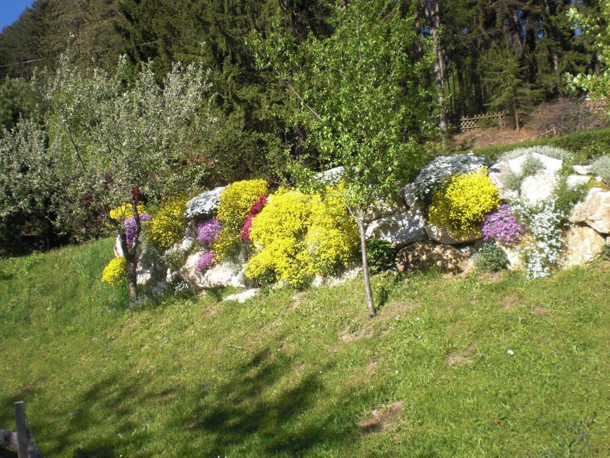Ferienwohnungen Eggarter Fresach Екстериор снимка